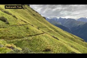 Rudranath trek