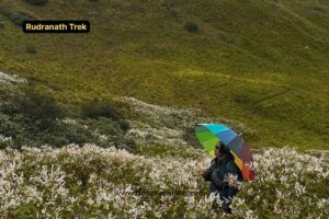 Rudranath trek 