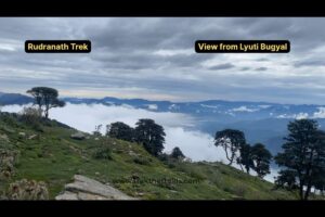 Rudranath Trek