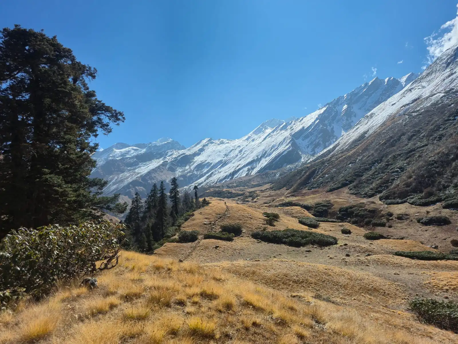 Har ki dun trek 2026, har ki dun trek