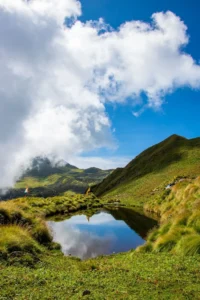 Rudranath Trek 2026: Ultimate Guide, Itinerary, Difficulty, Fees & Booking