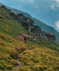 Rudranath Trek 2026: Ultimate Guide, Itinerary, Difficulty, Fees & Booking