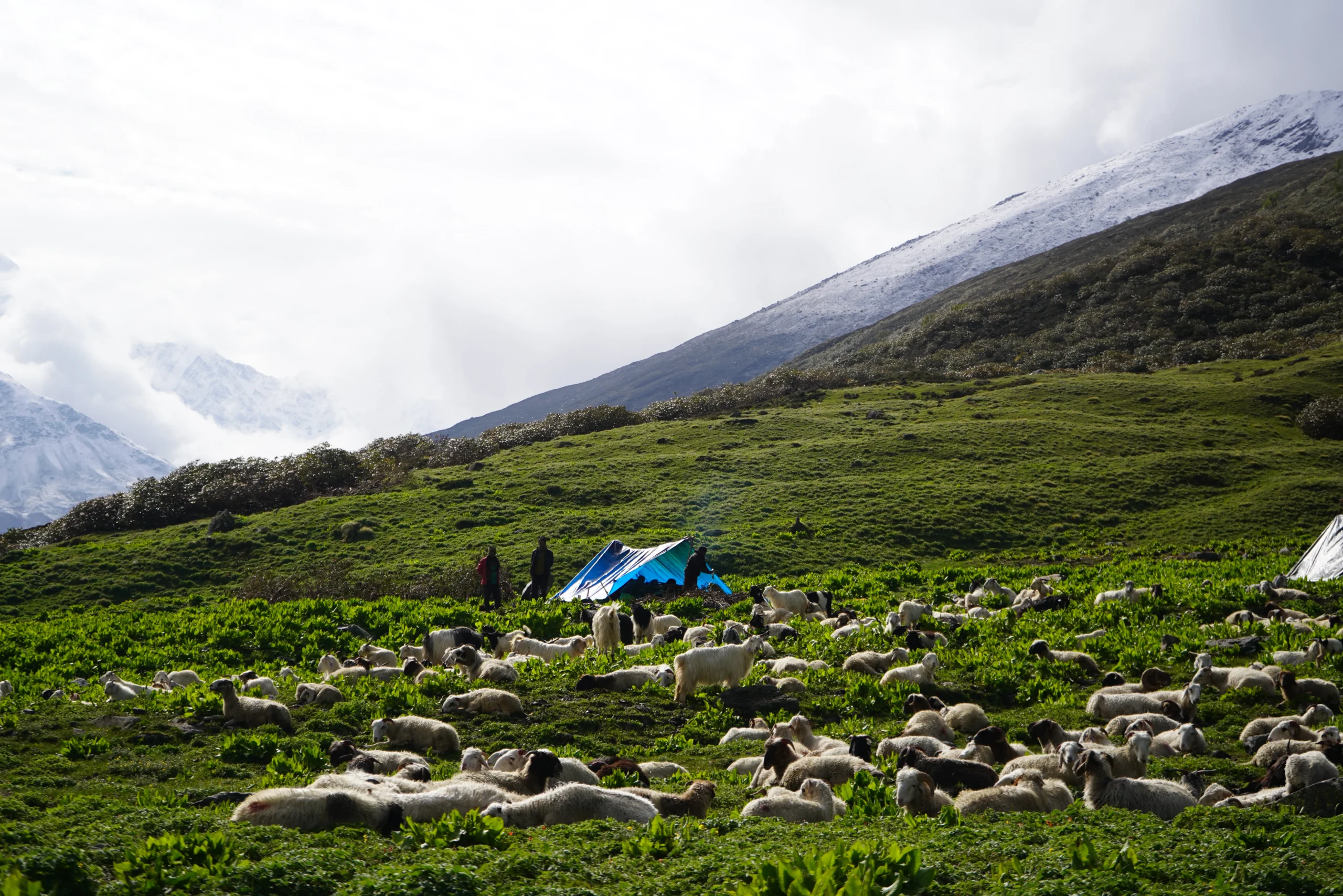 Nanda Devi East Base Camp Trek 2026