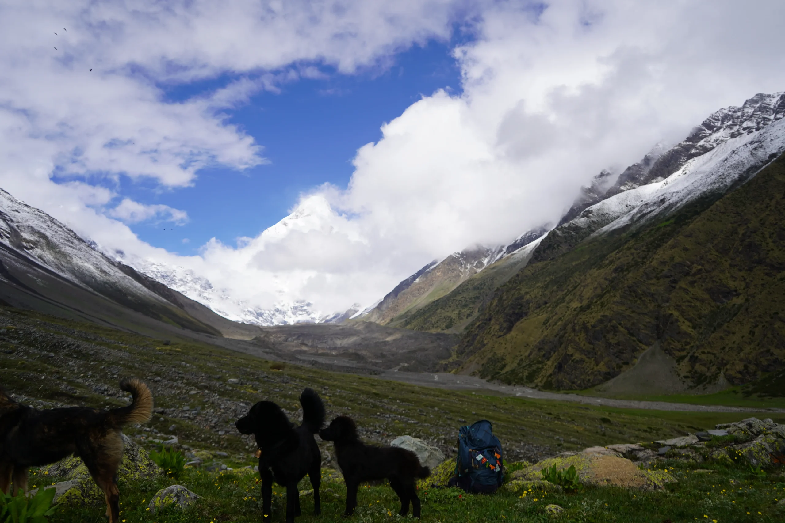 Nanda Devi East Base Camp Trek 2026