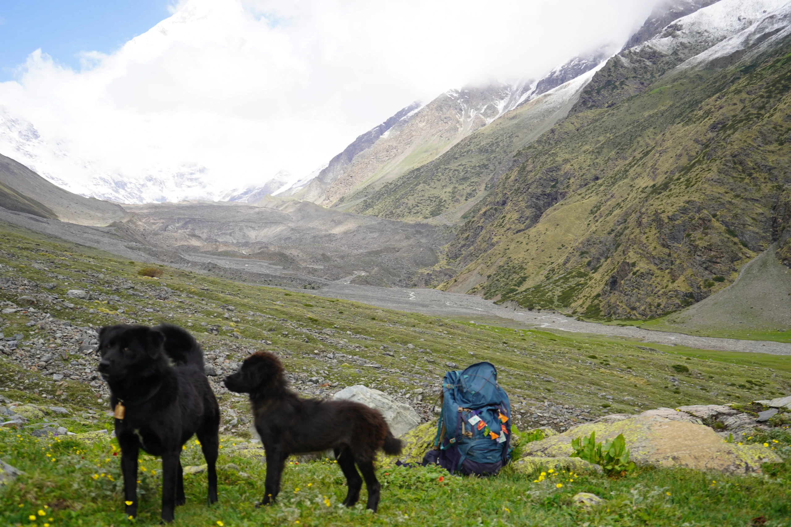 Nanda Devi East Base Camp Trek 2026