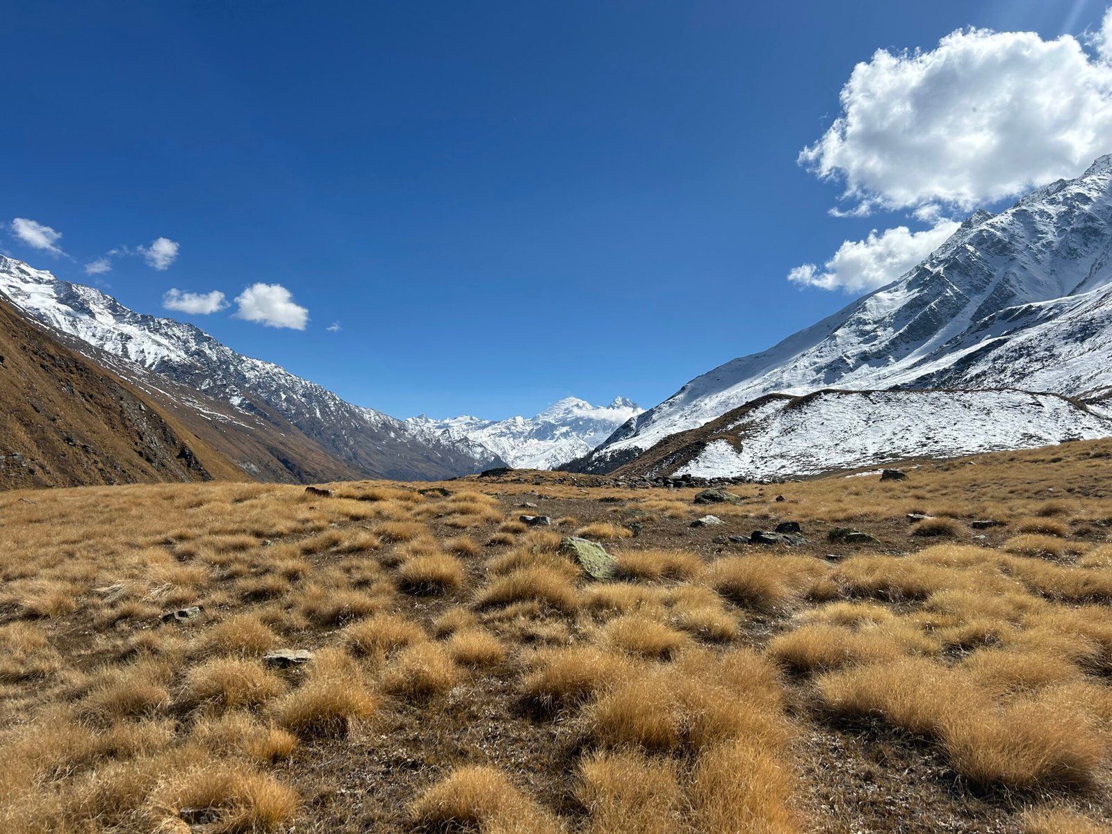 kyarkoti trek 2026