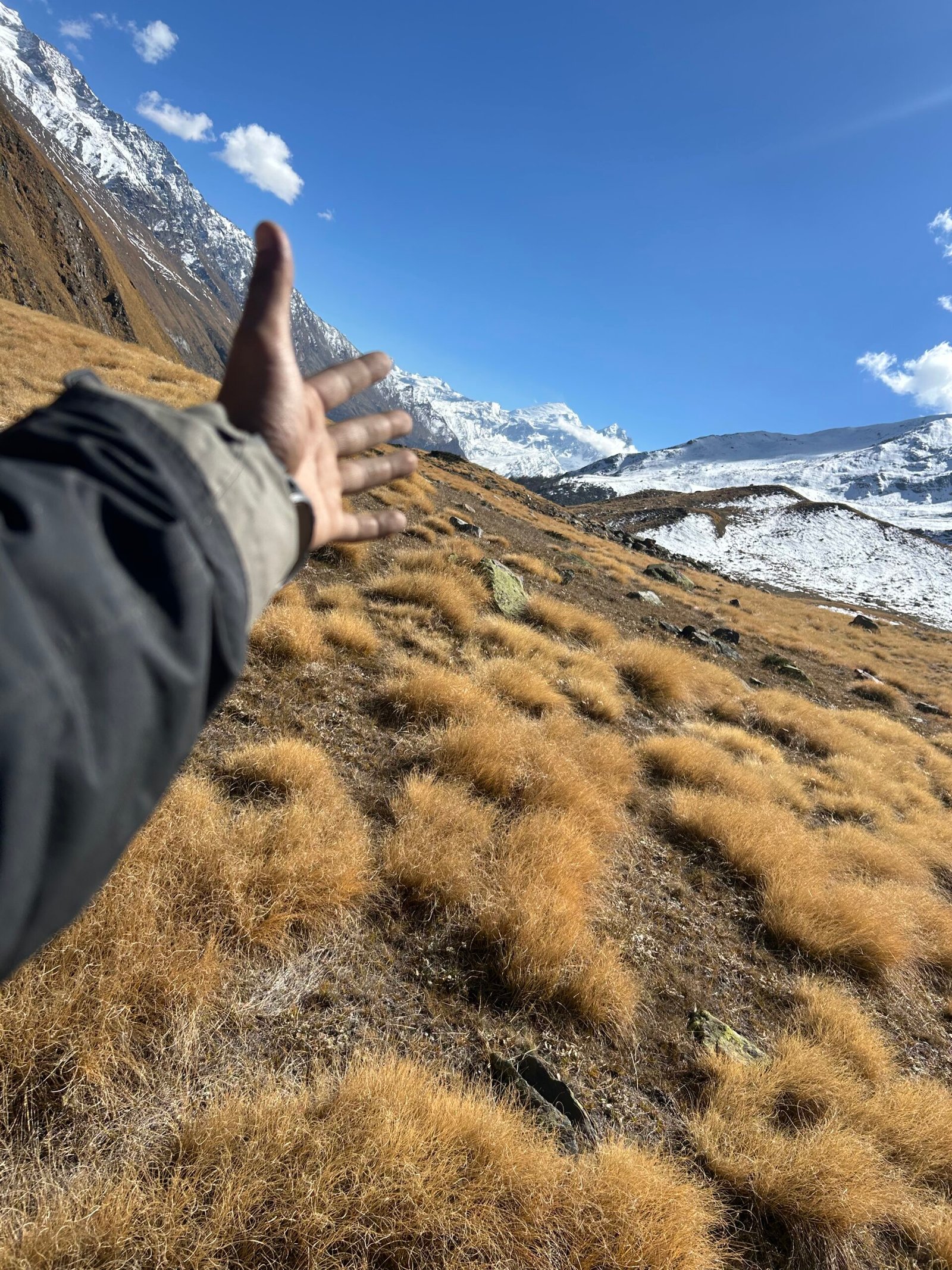 kyarkoti trek 2026